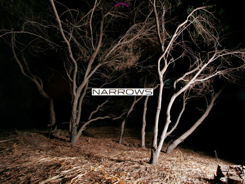 Nueva banda: Narrows